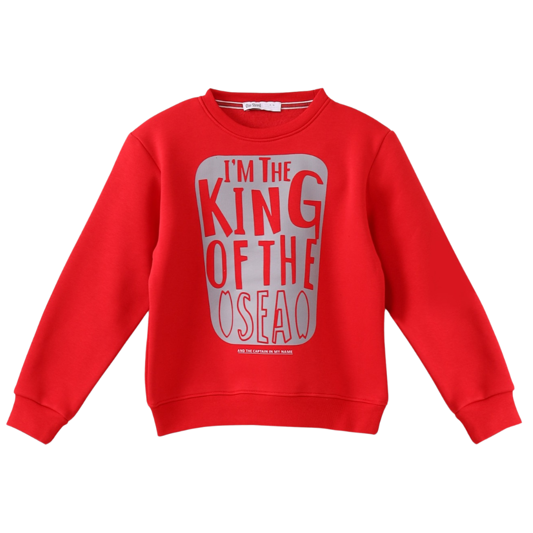 Sweatshirt With Bold Silver Front Print